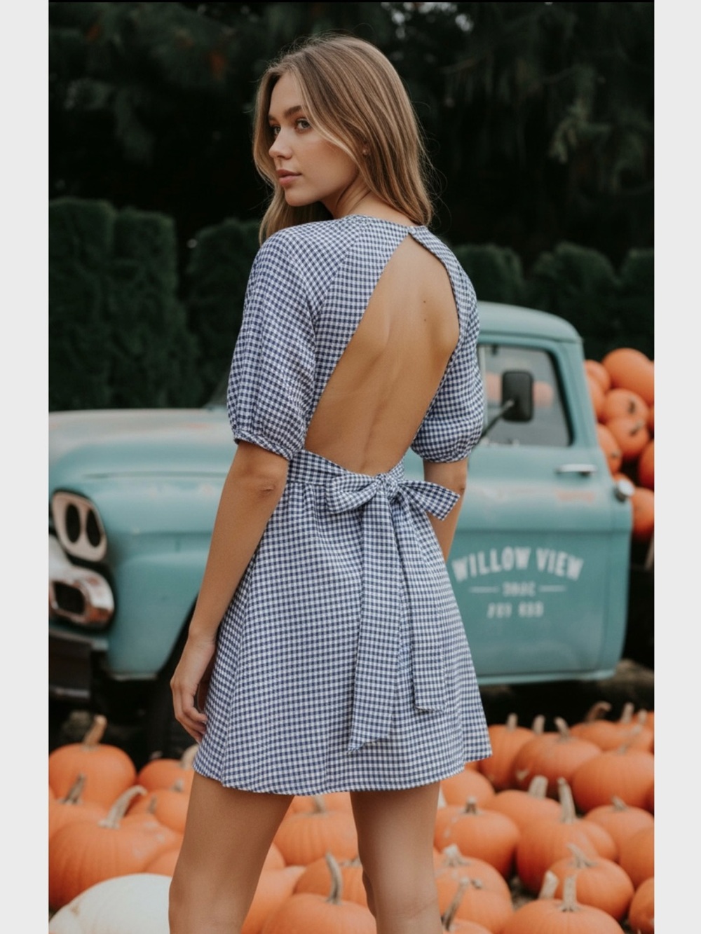 Reformation Irwin Linen Gingham Open Back Mini Dress in Blue Size 8